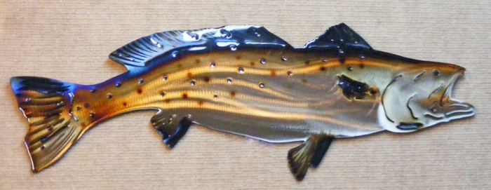 speckled,trout,spotted,weakfish,gulf,coast,fishing,marsh,bay,coastal