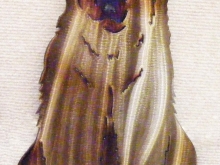 brown,bear,sitting,black,wildlife,animal,art