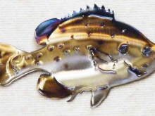 bluegill,bream,perch,freshwater,fishing,lake,pond,river,angler