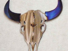 buffalo,bison,skull,steer,plains,wildlife,art