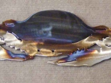 blue,crab,crustacean,shellfish