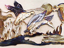 duck,flyway,marsh,swim,bird,fowl,hunting,cattails