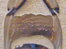 southwestern,metal,art,eagle,feather,buffalo,symbol