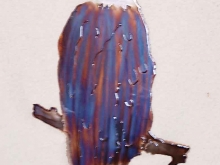 bald,eagle,roosting,branch,tree,regal,wild,bird,art