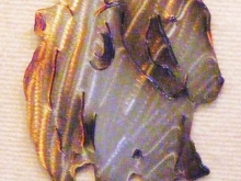 cowboy,western,riding,horse,ranch,man,hand,rider