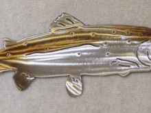 mountain,trout,brown,rainbow,lake,stream,fishing