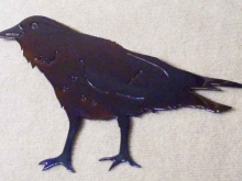 raven,crow,blackbird,wild,bird,art,omen