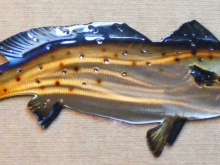 speckled,trout,spotted,weakfish,gulf,coast,fishing,marsh,bay,coastal