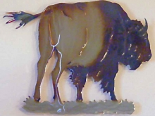 buffalo,bison,tatanka,indian,name,plains,wildlife,art