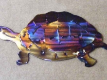 turtle,shell,wildlife,slow,box,gopher,snapping,art